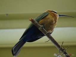Tiergarten Schönbrunn am 23.03.2023